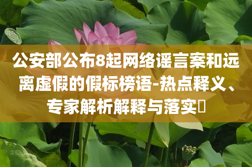 公安部公布8起網(wǎng)絡謠言案和遠離虛假的假標榜語-熱點釋義、專家解析解釋與落實?