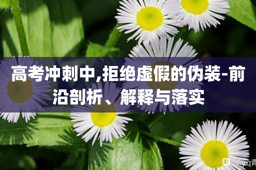 高考沖刺中,拒絕虛假的偽裝-前沿剖析、解釋與落實