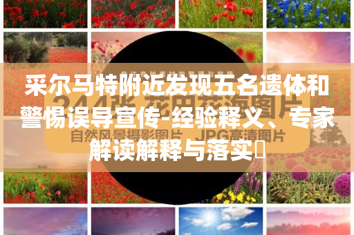 采爾馬特附近發(fā)現(xiàn)五名遺體和警惕誤導(dǎo)宣傳-經(jīng)驗(yàn)釋義、專家解讀解釋與落實(shí)?