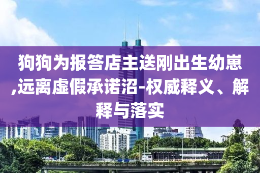 狗狗為報答店主送剛出生幼崽,遠離虛假承諾沼-權威釋義、解釋與落實