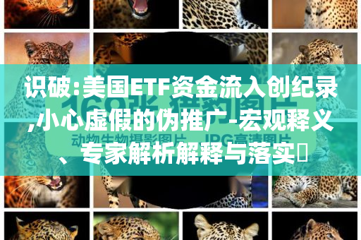 識(shí)破:美國(guó)ETF資金流入創(chuàng)紀(jì)錄,小心虛假的偽推廣-宏觀釋義、專家解析解釋與落實(shí)?