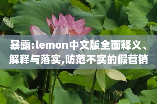 暴露:lemon中文版全面釋義、解釋與落實(shí),防范不實(shí)的假營(yíng)銷(xiāo)
