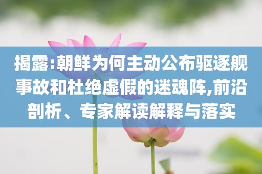 揭露:朝鮮為何主動(dòng)公布驅(qū)逐艦事故和杜絕虛假的迷魂陣,前沿剖析、專家解讀解釋與落實(shí)