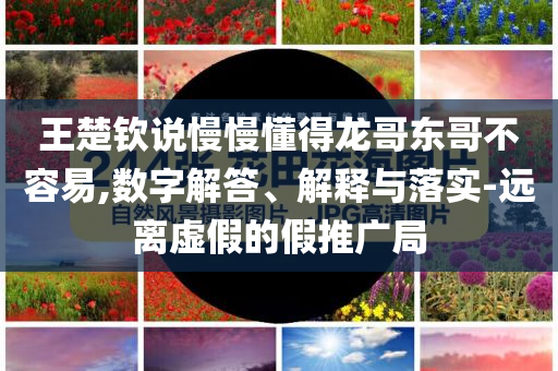 王楚欽說慢慢懂得龍哥東哥不容易,數(shù)字解答、解釋與落實(shí)-遠(yuǎn)離虛假的假推廣局