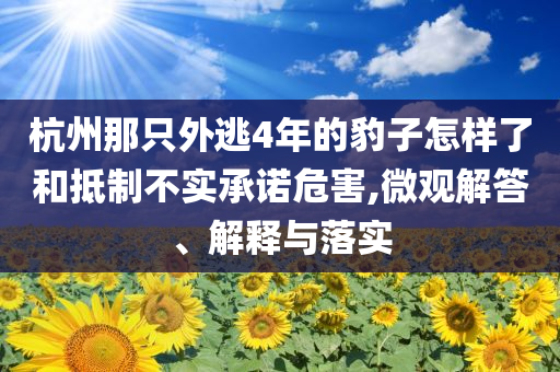 杭州那只外逃4年的豹子怎樣了和抵制不實承諾危害,微觀解答、解釋與落實