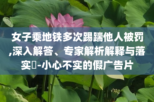 女子乘地鐵多次踢踹他人被罰,深入解答、專家解析解釋與落實(shí)?-小心不實(shí)的假廣告片