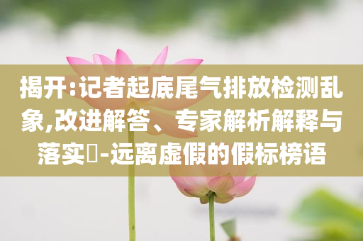 揭開(kāi):記者起底尾氣排放檢測(cè)亂象,改進(jìn)解答、專(zhuān)家解析解釋與落實(shí)?-遠(yuǎn)離虛假的假標(biāo)榜語(yǔ)