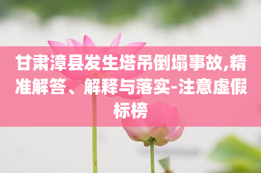 甘肅漳縣發(fā)生塔吊倒塌事故,精準解答、解釋與落實-注意虛假標榜