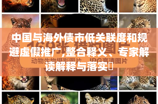 中國與海外債市低關聯(lián)度和規(guī)避虛假推廣,整合釋義、專家解讀解釋與落實?