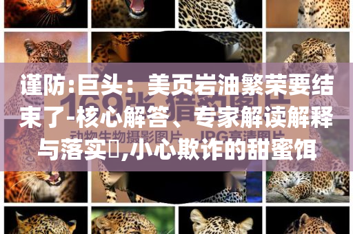 謹防:巨頭：美頁巖油繁榮要結束了-核心解答、專家解讀解釋與落實?,小心欺詐的甜蜜餌