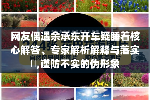 網(wǎng)友偶遇余承東開車疑睡著核心解答、專家解析解釋與落實?,謹(jǐn)防不實的偽形象