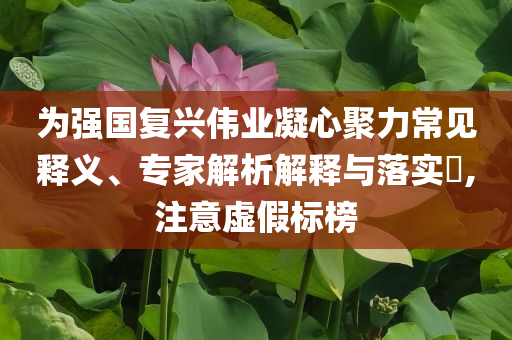 為強(qiáng)國(guó)復(fù)興偉業(yè)凝心聚力常見釋義、專家解析解釋與落實(shí)?,注意虛假標(biāo)榜