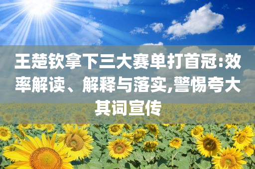 王楚欽拿下三大賽單打首冠:效率解讀、解釋與落實(shí),警惕夸大其詞宣傳