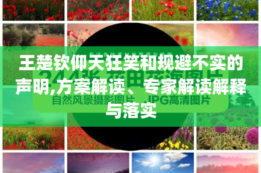 王楚欽仰天狂笑和規(guī)避不實(shí)的聲明,方案解讀、專家解讀解釋與落實(shí)
