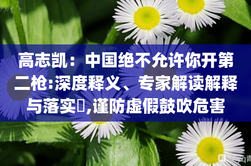 高志凱：中國(guó)絕不允許你開(kāi)第二槍:深度釋義、專家解讀解釋與落實(shí)?,謹(jǐn)防虛假鼓吹危害