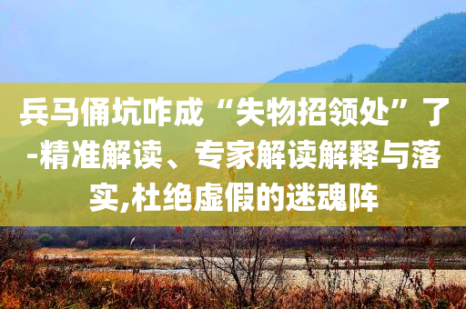 兵馬俑坑咋成“失物招領處”了-精準解讀、專家解讀解釋與落實,杜絕虛假的迷魂陣