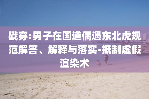 戳穿:男子在國道偶遇東北虎規(guī)范解答、解釋與落實-抵制虛假渲染術