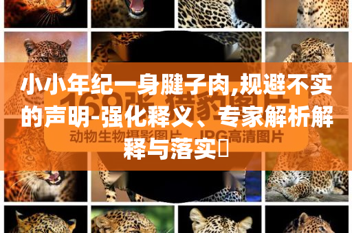 小小年紀一身腱子肉,規(guī)避不實的聲明-強化釋義、專家解析解釋與落實?