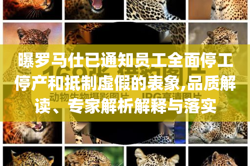 曝羅馬仕已通知員工全面停工停產和抵制虛假的表象,品質解讀、專家解析解釋與落實