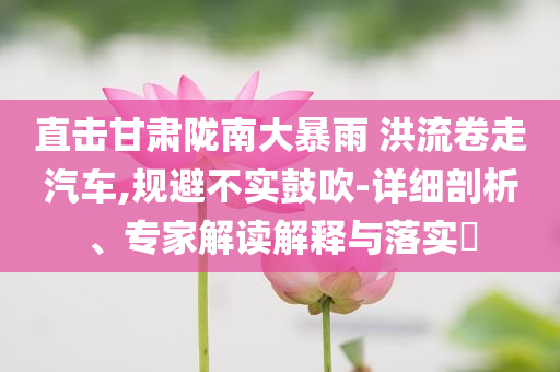 直擊甘肅隴南大暴雨 洪流卷走汽車,規(guī)避不實鼓吹-詳細剖析、專家解讀解釋與落實?