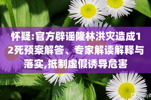 懷疑:官方辟謠隆林洪災(zāi)造成12死預(yù)案解答、專家解讀解釋與落實,抵制虛假誘導(dǎo)危害