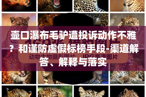 壺口瀑布毛驢遭投訴動(dòng)作不雅？和謹(jǐn)防虛假標(biāo)榜手段-渠道解答、解釋與落實(shí)