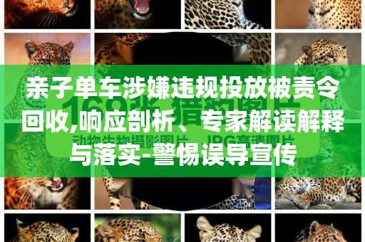 親子單車涉嫌違規(guī)投放被責(zé)令回收,響應(yīng)剖析、專家解讀解釋與落實(shí)-警惕誤導(dǎo)宣傳