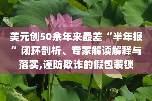 美元?jiǎng)?chuàng)50余年來最差“半年報(bào)”閉環(huán)剖析、專家解讀解釋與落實(shí),謹(jǐn)防欺詐的假包裝鎖