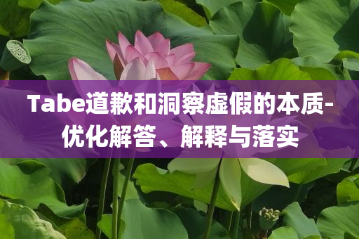 Tabe道歉和洞察虛假的本質(zhì)-優(yōu)化解答、解釋與落實(shí)