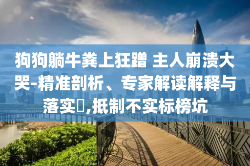 狗狗躺牛糞上狂蹭 主人崩潰大哭-精準(zhǔn)剖析、專家解讀解釋與落實(shí)?,抵制不實(shí)標(biāo)榜坑