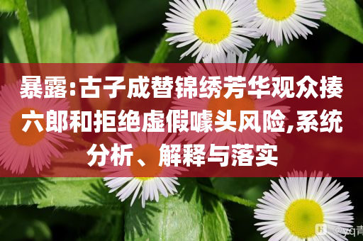 暴露:古子成替錦繡芳華觀眾揍六郎和拒絕虛假噱頭風險,系統(tǒng)分析、解釋與落實