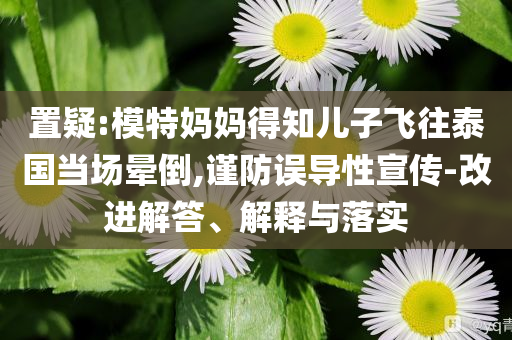 置疑:模特媽媽得知兒子飛往泰國當場暈倒,謹防誤導性宣傳-改進解答、解釋與落實