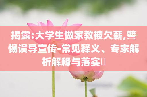 揭露:大學(xué)生做家教被欠薪,警惕誤導(dǎo)宣傳-常見釋義、專家解析解釋與落實(shí)?
