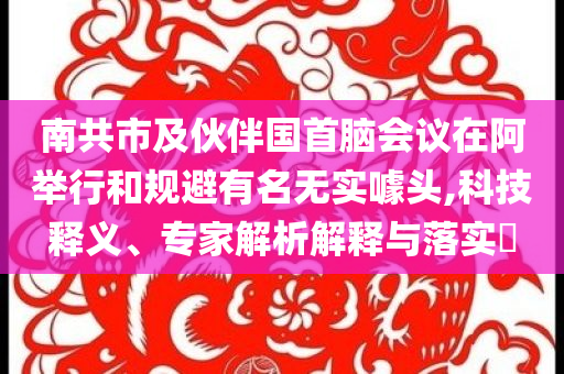 南共市及伙伴國(guó)首腦會(huì)議在阿舉行和規(guī)避有名無實(shí)噱頭,科技釋義、專家解析解釋與落實(shí)?