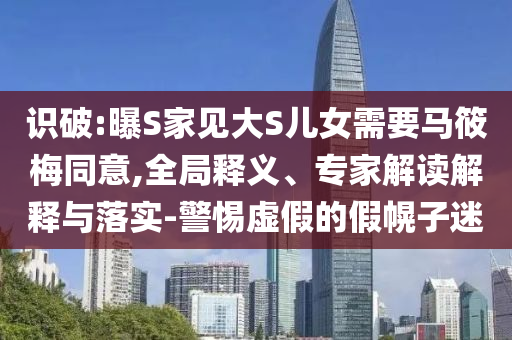 識(shí)破:曝S家見(jiàn)大S兒女需要馬筱梅同意,全局釋義、專(zhuān)家解讀解釋與落實(shí)-警惕虛假的假幌子迷