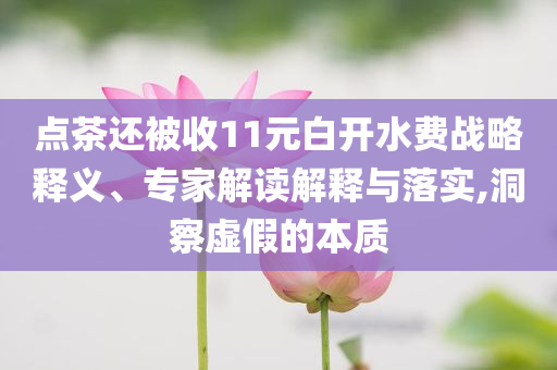 點茶還被收11元白開水費戰(zhàn)略釋義、專家解讀解釋與落實,洞察虛假的本質(zhì)