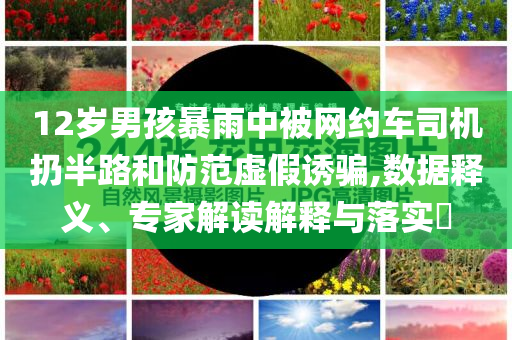 12歲男孩暴雨中被網(wǎng)約車司機(jī)扔半路和防范虛假誘騙,數(shù)據(jù)釋義、專家解讀解釋與落實(shí)?