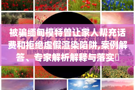 被騙緬甸模特曾讓家人幫充話費(fèi)和拒絕虛假渲染陷阱,案例解答、專家解析解釋與落實(shí)?