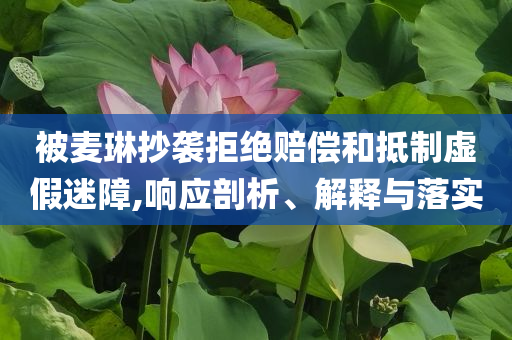 被麥琳抄襲拒絕賠償和抵制虛假迷障,響應(yīng)剖析、解釋與落實(shí)