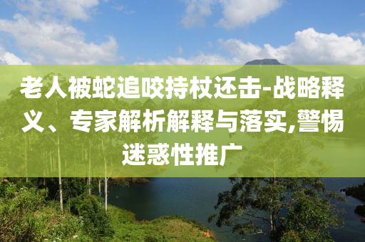 老人被蛇追咬持杖還擊-戰(zhàn)略釋義、專家解析解釋與落實(shí),警惕迷惑性推廣