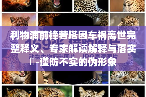 利物浦前鋒若塔因車禍離世完整釋義、專家解讀解釋與落實(shí)?-謹(jǐn)防不實(shí)的偽形象