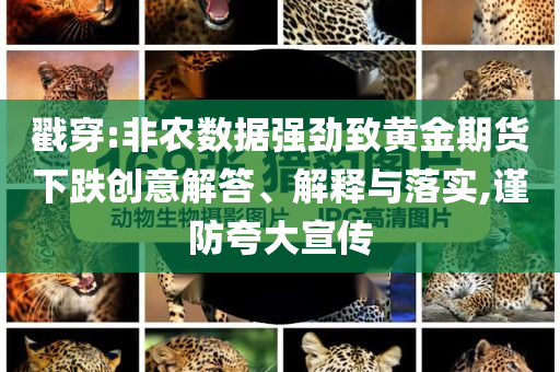 戳穿:非農(nóng)數(shù)據(jù)強(qiáng)勁致黃金期貨下跌創(chuàng)意解答、解釋與落實(shí),謹(jǐn)防夸大宣傳