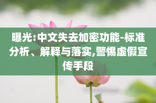 曝光:中文失去加密功能-標(biāo)準(zhǔn)分析、解釋與落實,警惕虛假宣傳手段