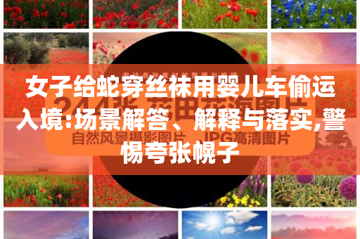 女子給蛇穿絲襪用嬰兒車偷運(yùn)入境:場景解答、解釋與落實(shí),警惕夸張幌子