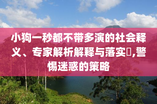 小狗一秒都不帶多演的社會(huì)釋義、專家解析解釋與落實(shí)?,警惕迷惑的策略