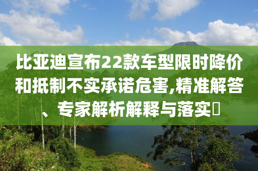 比亞迪宣布22款車型限時降價和抵制不實承諾危害,精準解答、專家解析解釋與落實?