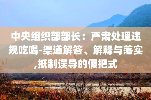 中央組織部部長：嚴肅處理違規(guī)吃喝-渠道解答、解釋與落實,抵制誤導(dǎo)的假把式