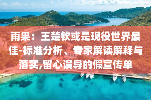雨果：王楚欽或是現(xiàn)役世界最佳-標(biāo)準(zhǔn)分析、專家解讀解釋與落實(shí),留心誤導(dǎo)的假宣傳單