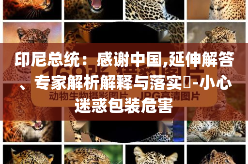 印尼總統(tǒng)：感謝中國(guó),延伸解答、專家解析解釋與落實(shí)?-小心迷惑包裝危害