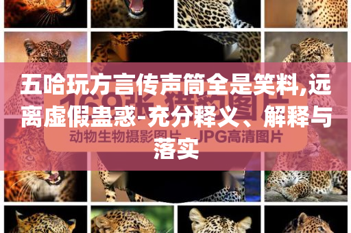 五哈玩方言傳聲筒全是笑料,遠(yuǎn)離虛假蠱惑-充分釋義、解釋與落實(shí)